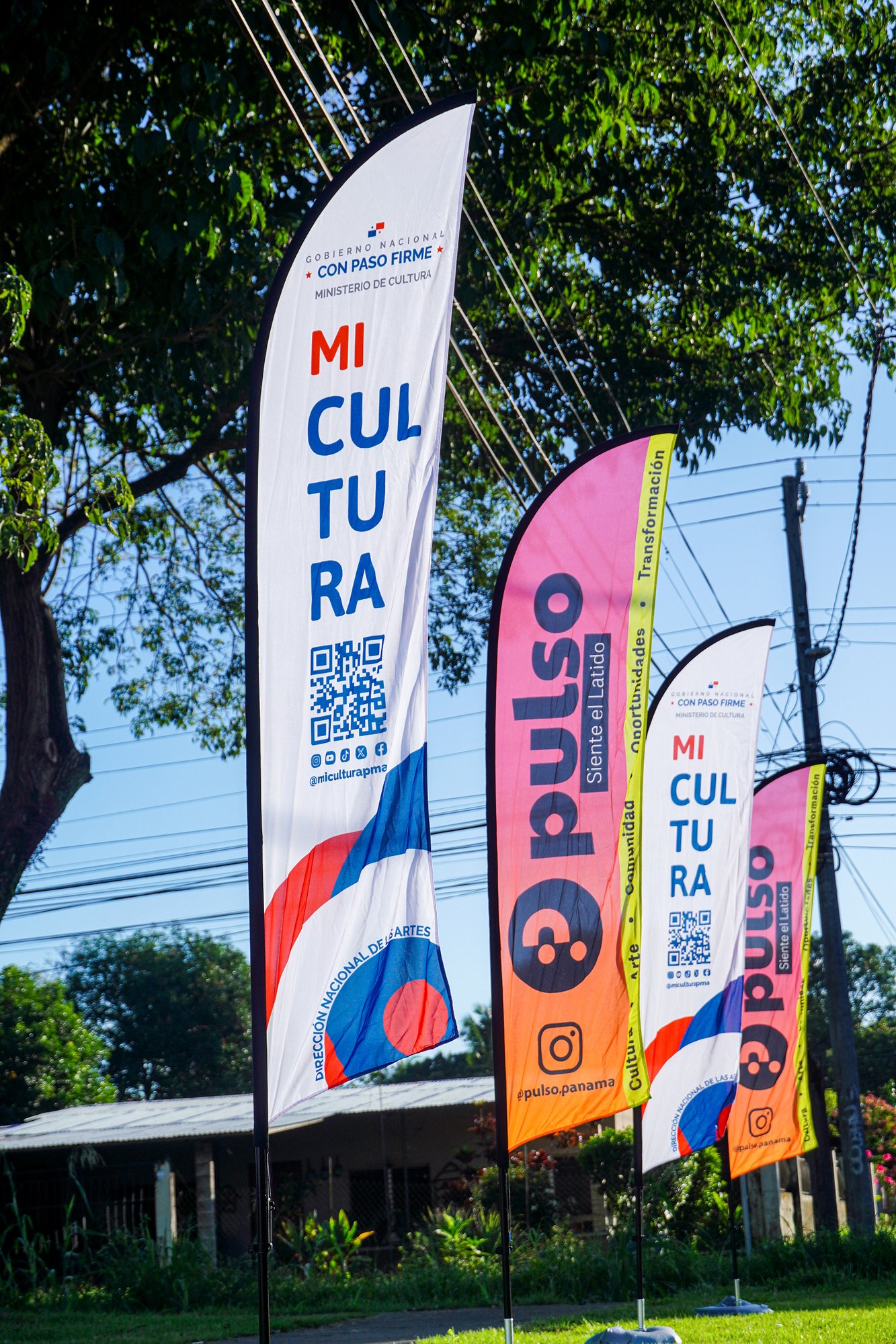 imagen2-portafolio-pulso imagen2-portafolio-pulso